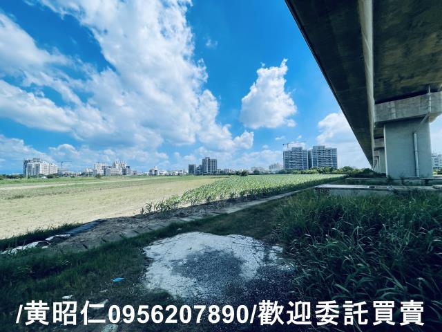 新市農地-4