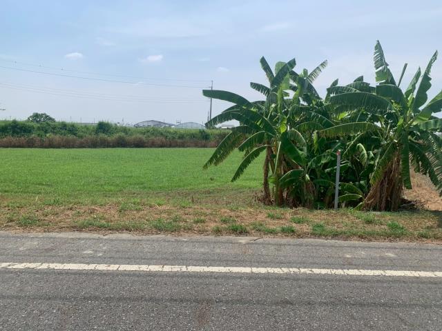 嘉義農地-4