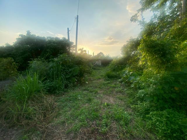 番路農地-2