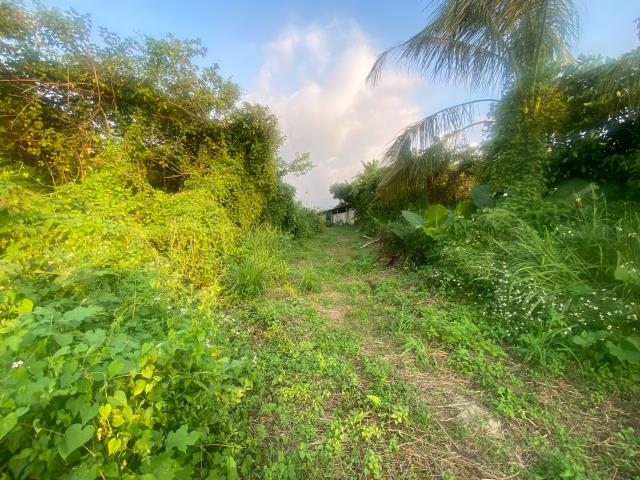番路農地-4