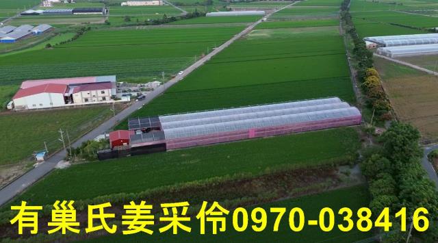 嘉義農地-10