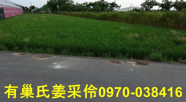嘉義農地-11