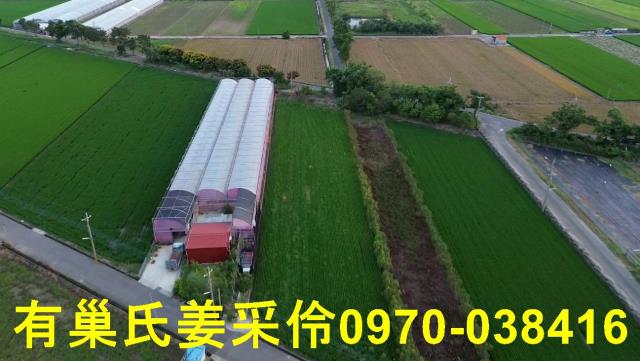 嘉義農地-3