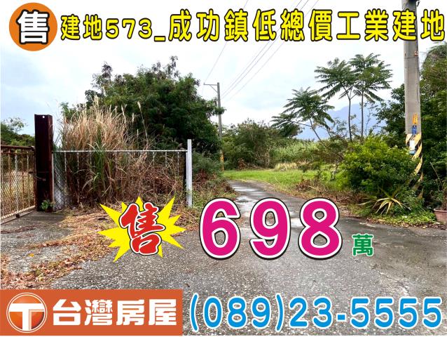 台東成功建地-11