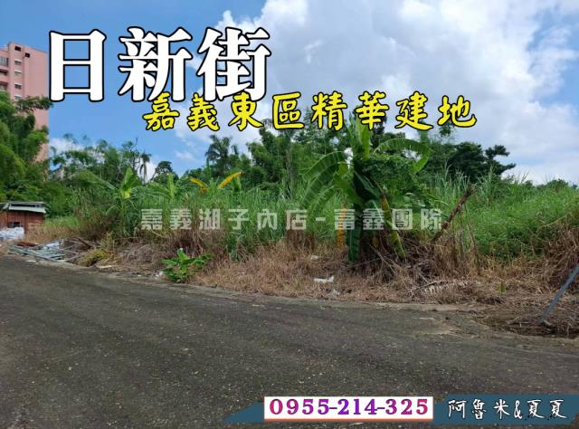 東區農地-1