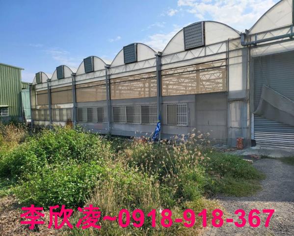 鹿草農地-1