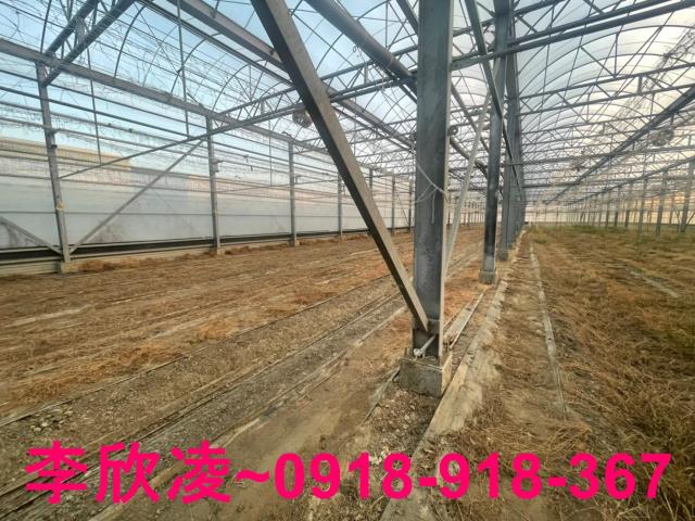 鹿草農地-2