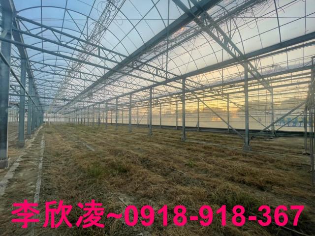鹿草農地-3