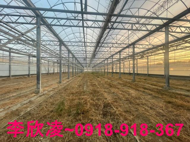 鹿草農地-4
