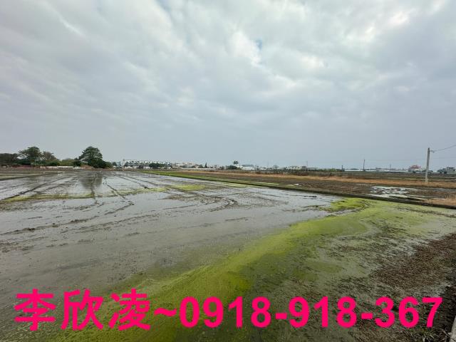 西區農地-4