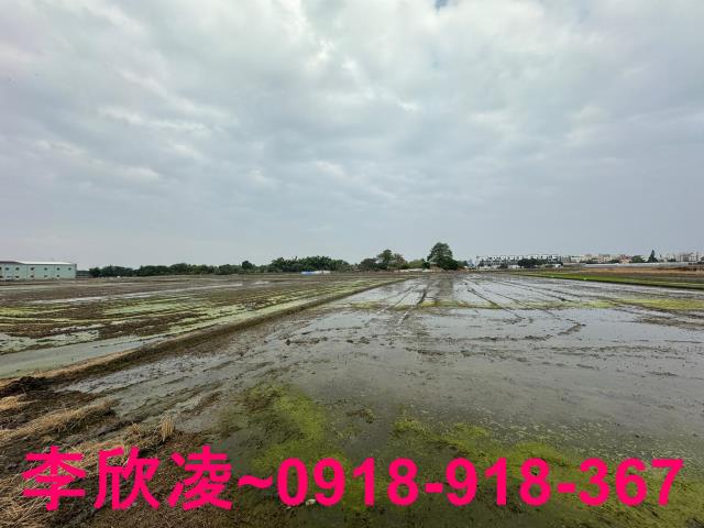 西區農地-5
