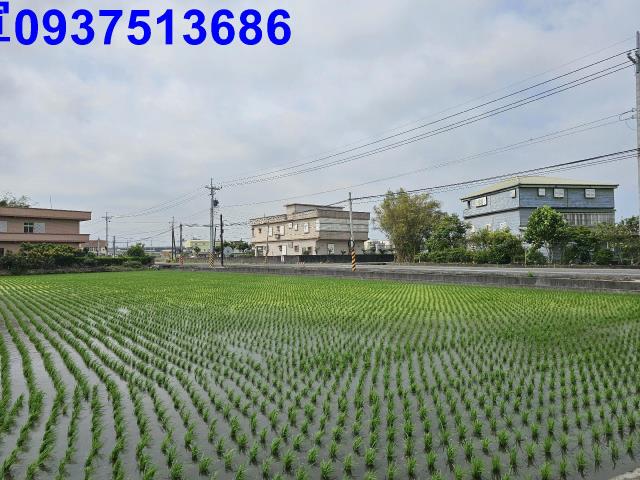 宜蘭農地-13