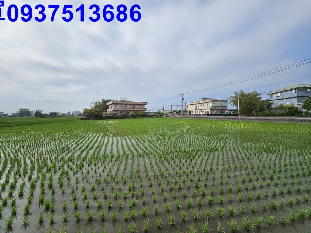 宜蘭農地-15