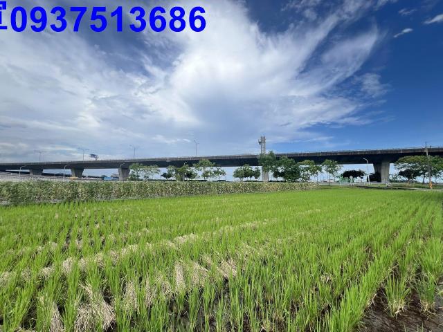 宜蘭農地-10