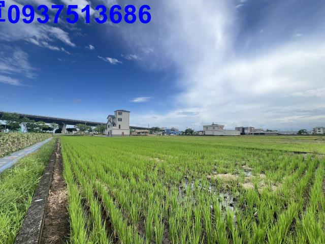 宜蘭農地-1