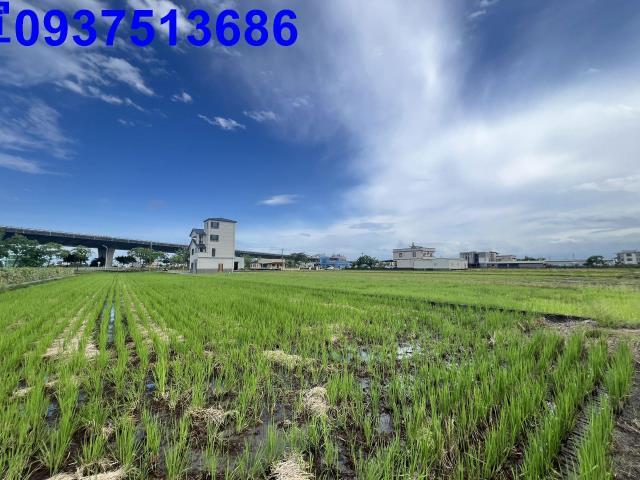 宜蘭農地-2