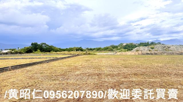 高雄農地-1