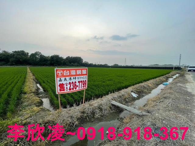 白河農地-10