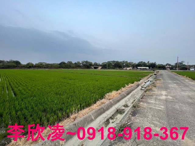 白河農地-5