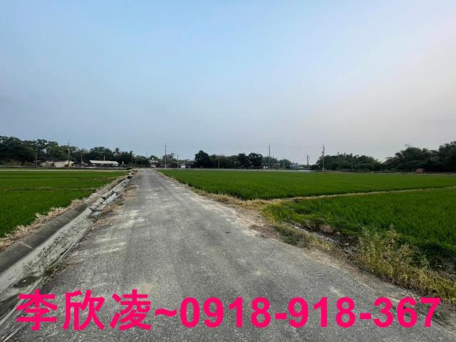 白河農地-6