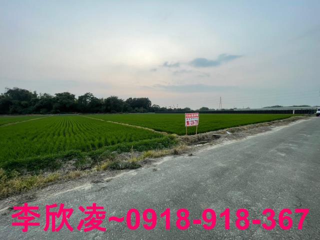 白河農地-7
