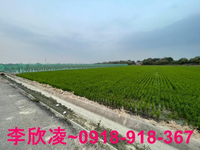 白河農地-8