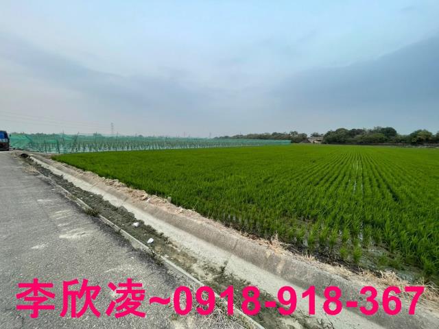白河農地-9