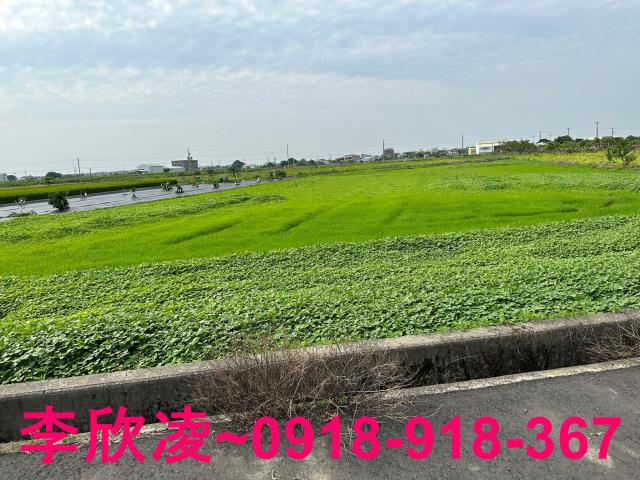 朴子農地-2