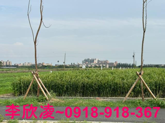 朴子農地-4
