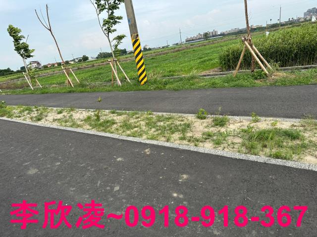 朴子農地-5
