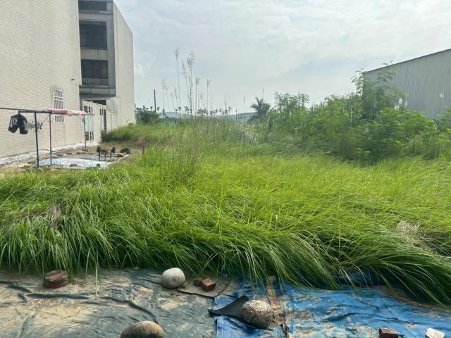 西區農地-1