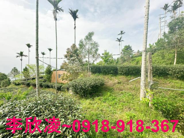 梅山農地-12