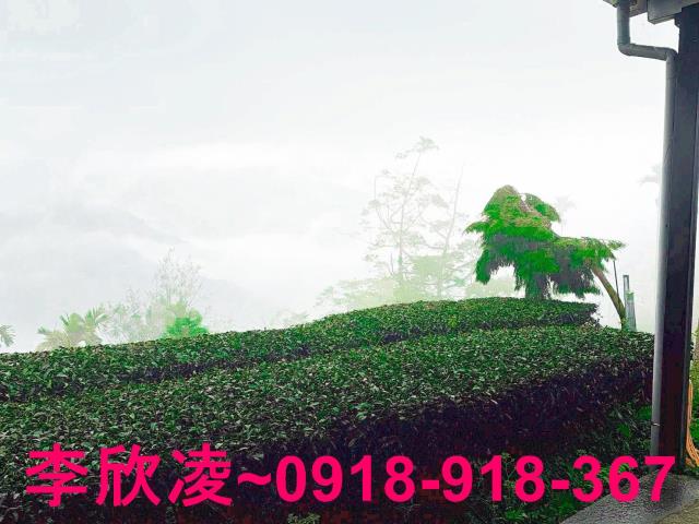 梅山農地-1