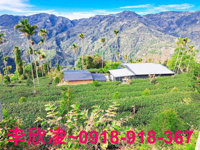 梅山農地-5