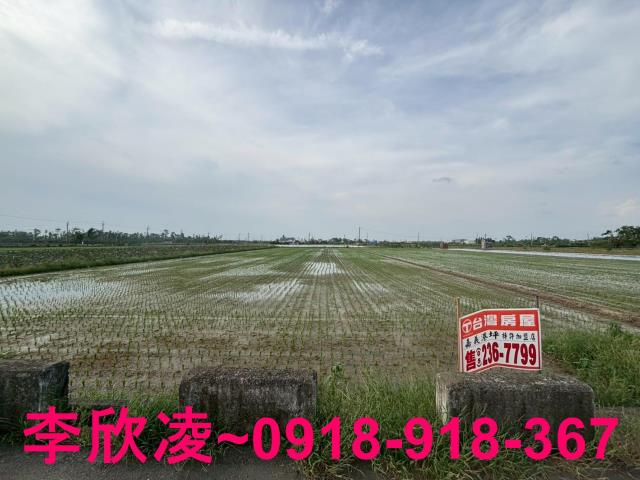 白河農地-4
