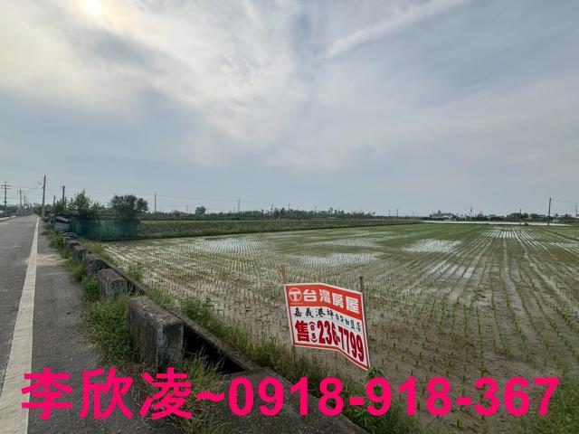 白河農地-2