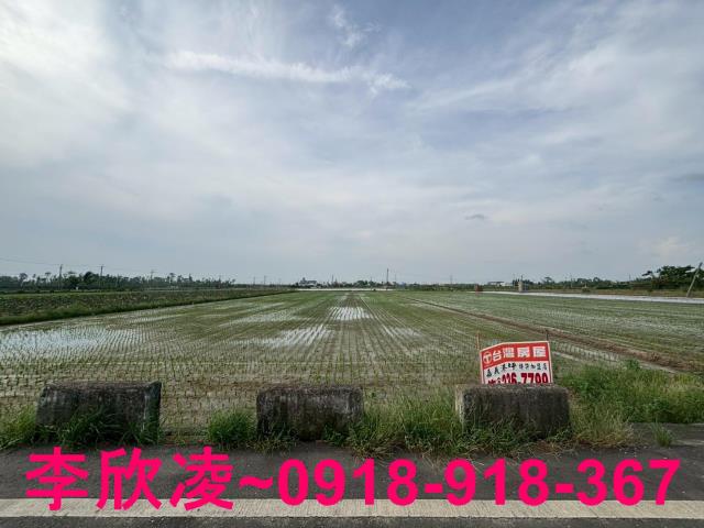 白河農地-5
