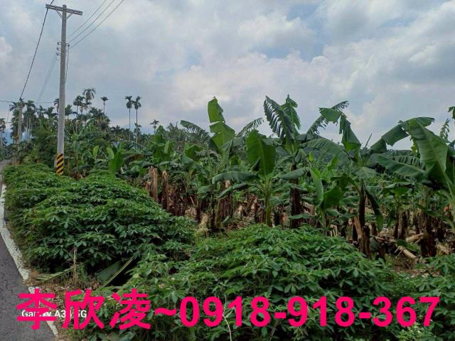 中埔農地-11