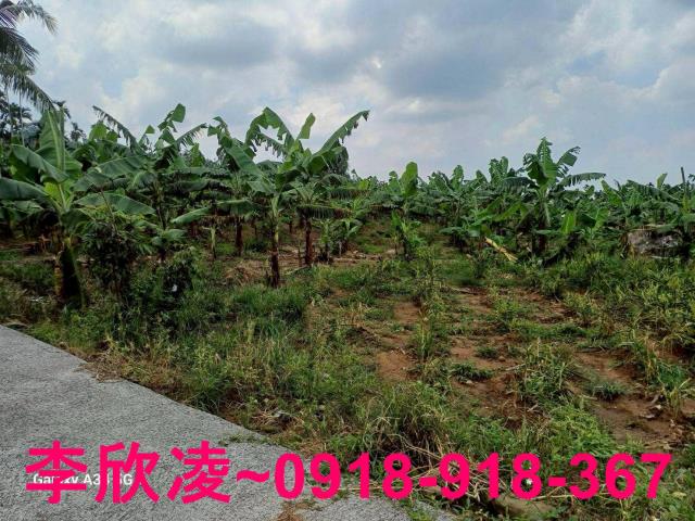 中埔農地-13