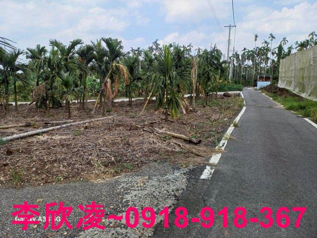 中埔農地-14