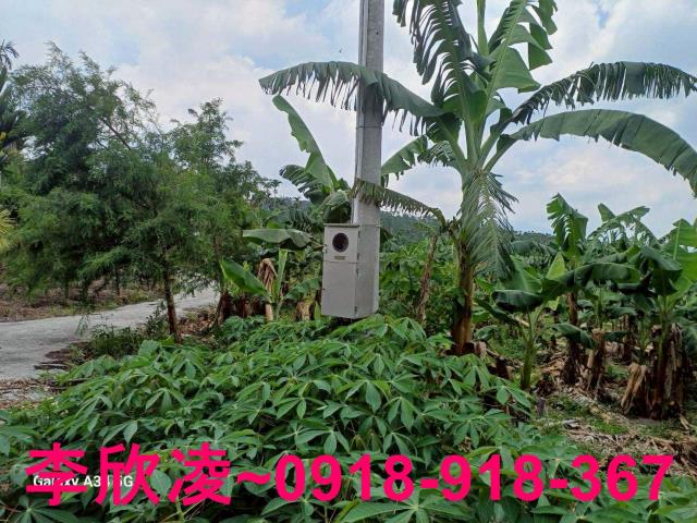 中埔農地-1