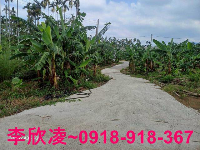 中埔農地-3