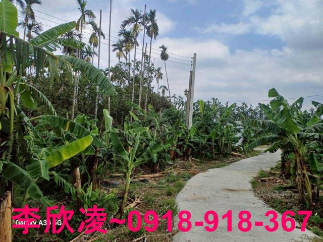 中埔農地-7