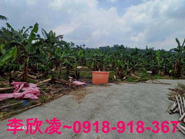 中埔農地-8