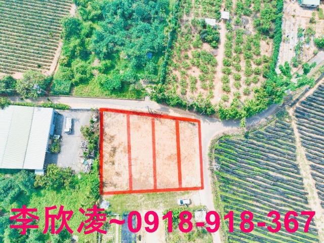 嘉義農地-1