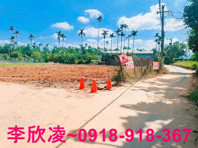 嘉義農地-4