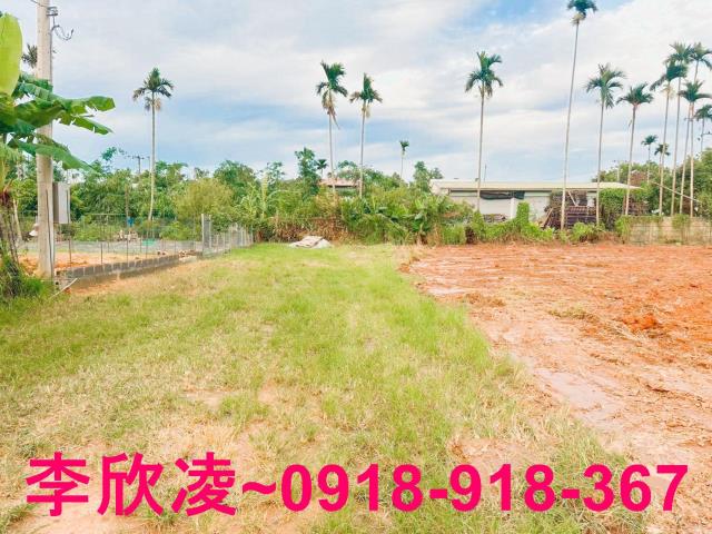嘉義農地-6