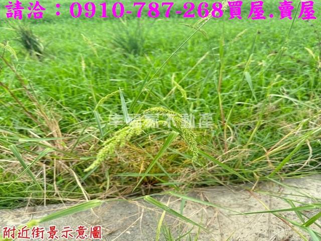 台南農地-13
