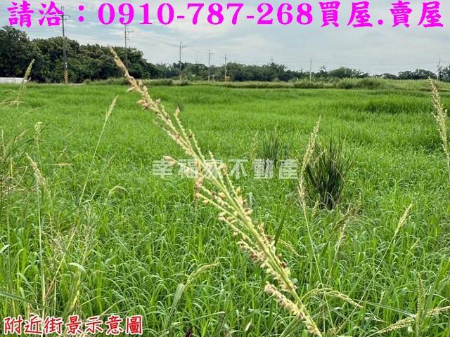 台南農地-15
