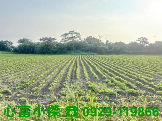 歸仁農地-1